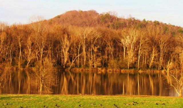 Little River Guest House At Tennessee Riverplace Chattanooga Bagian luar foto